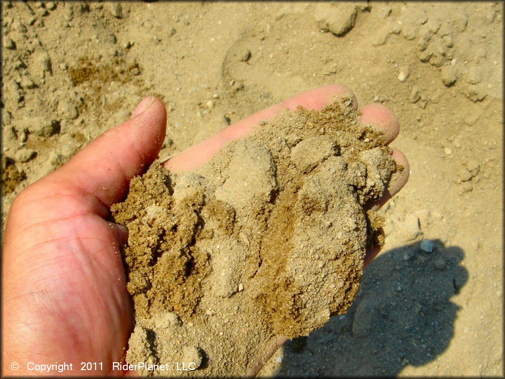 Close up photo of hand holding some sand.