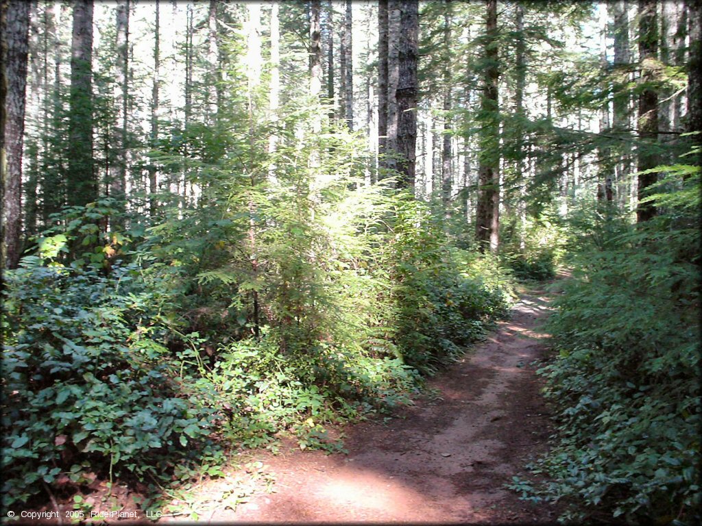 Terrain example at Blue Ridge Trails