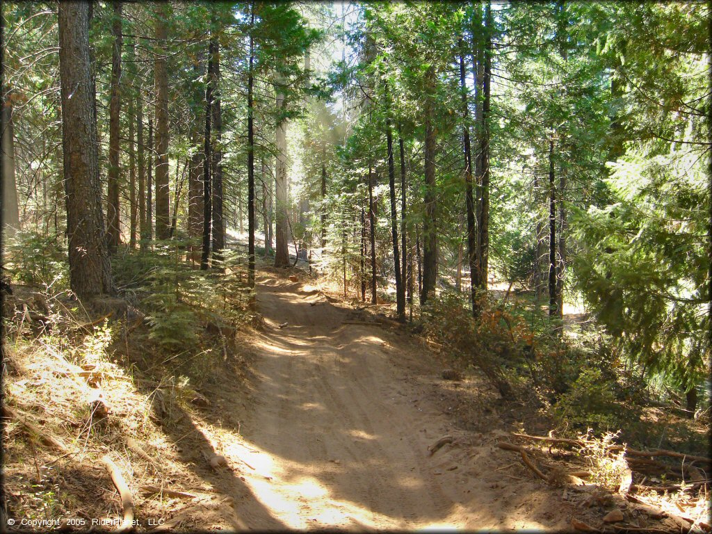 Example of terrain at Gold Note Trails