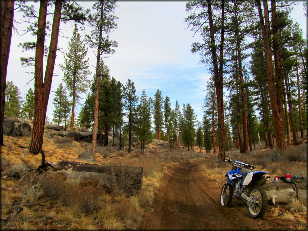 East Fort Rock OHV Trail System