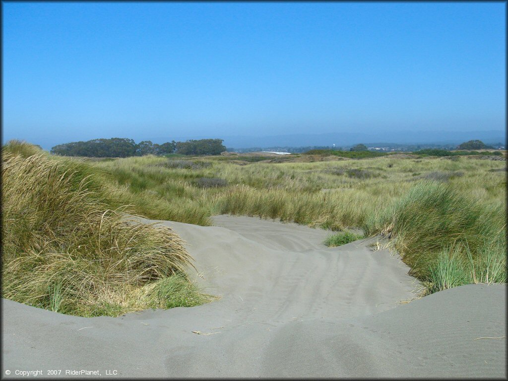 Samoa Sand Dunes OHV Area
