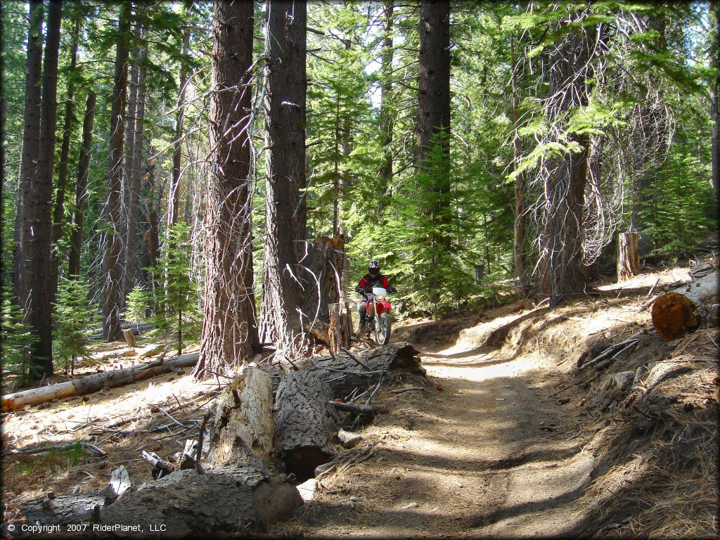 Honda CRF Dirt Bike at Corral OHV Trail