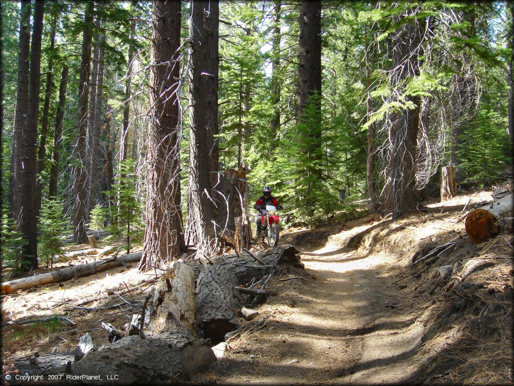 Honda CRF Motorcycle at Corral OHV Trail