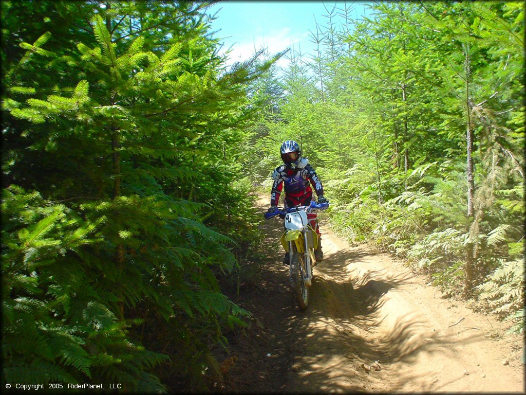 Girl riding a OHV at Upper Nestucca Motorcycle Trail System