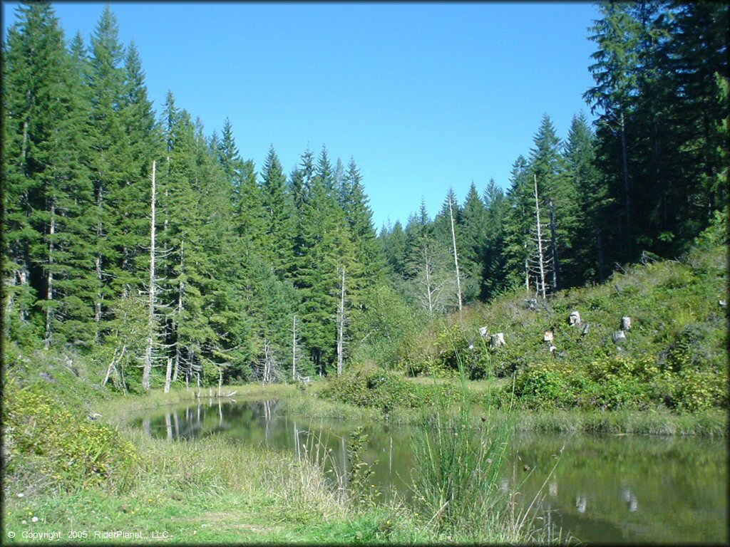 Scenery at Blue Ridge Trails