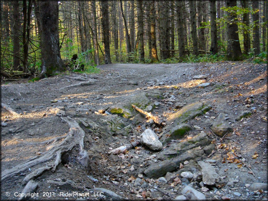 Example of terrain at Pittsfield State Forest Trail