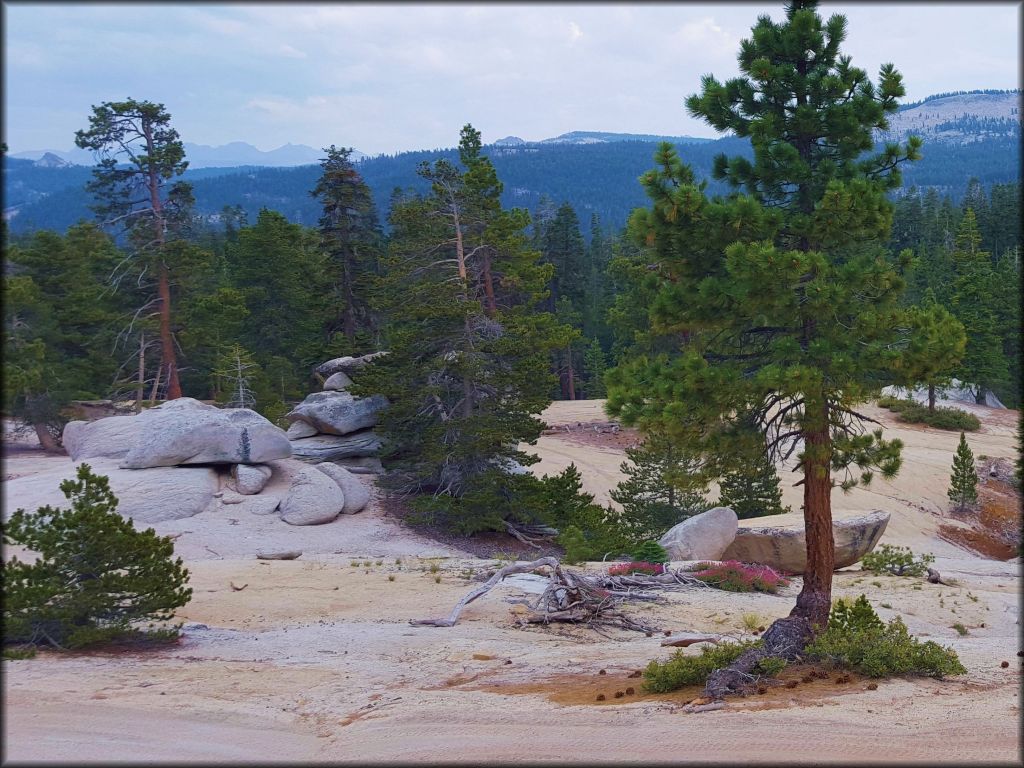 Big Meadows Trail