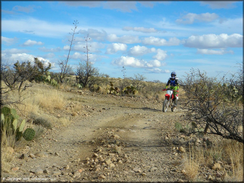 Girl riding a Honda CRF Dirt Bike at Santa Rita OHV Routes Trail