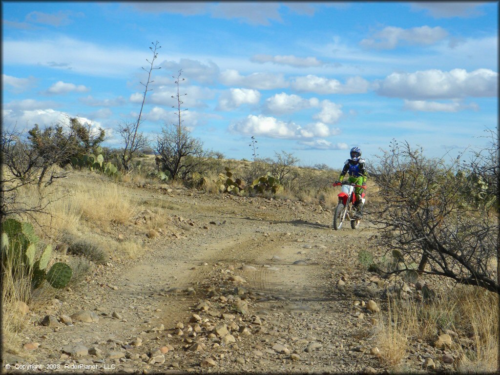 Woman on a Honda CRF Motorbike at Santa Rita OHV Routes Trail