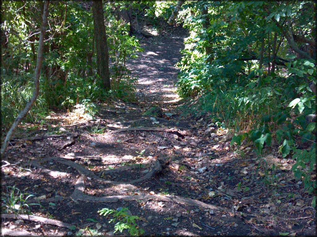 Terrain example at Council Grove Lake ORV Area Trail