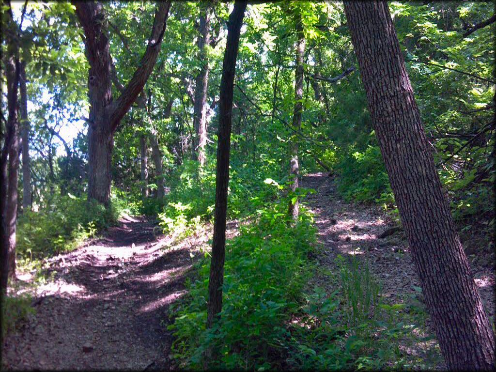 Spillway Cycle Area Trail