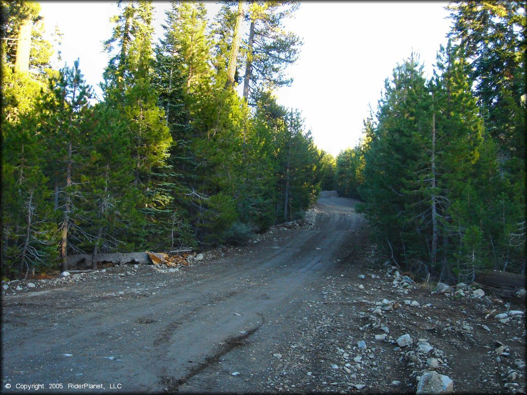 Example of terrain at Jackson Meadows Trail