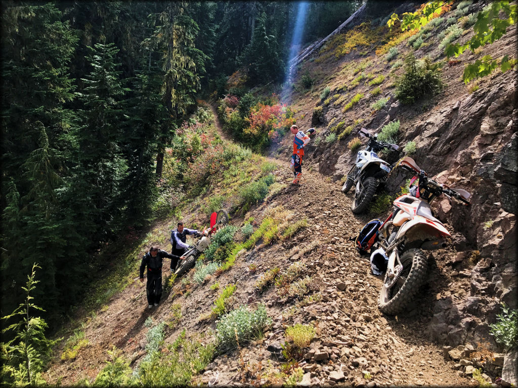 Gifford Pinchot Trail