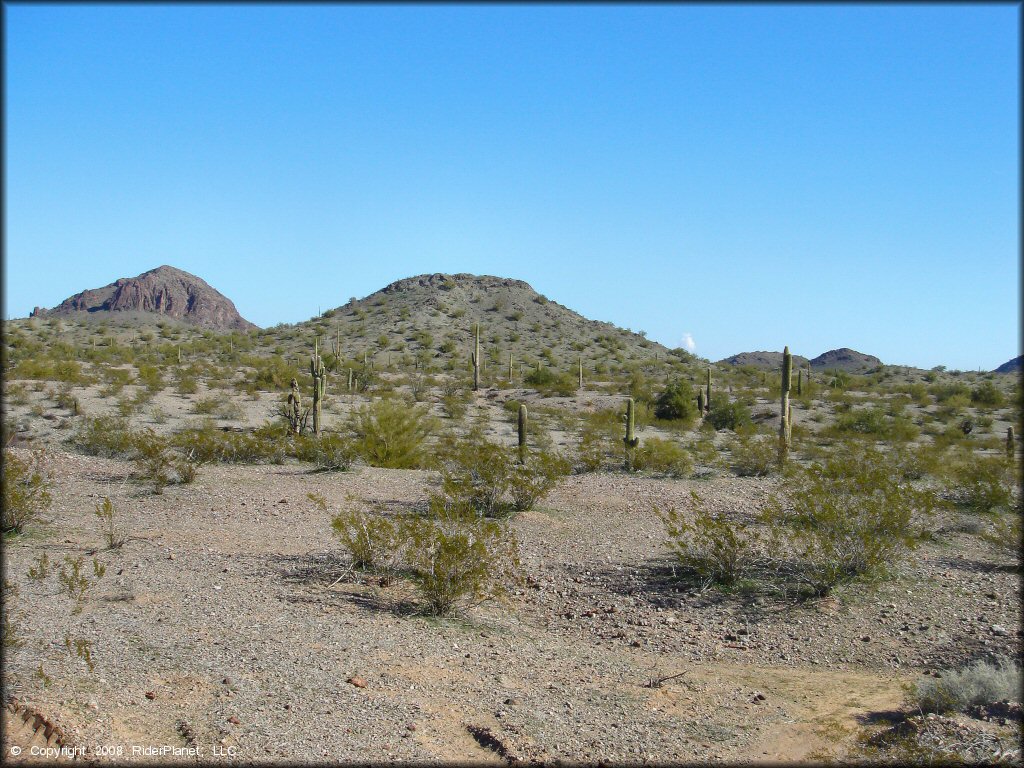 A photo of rolling hills and cactuses.