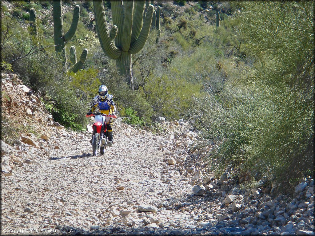 Mescal Mountain OHV Area Trail