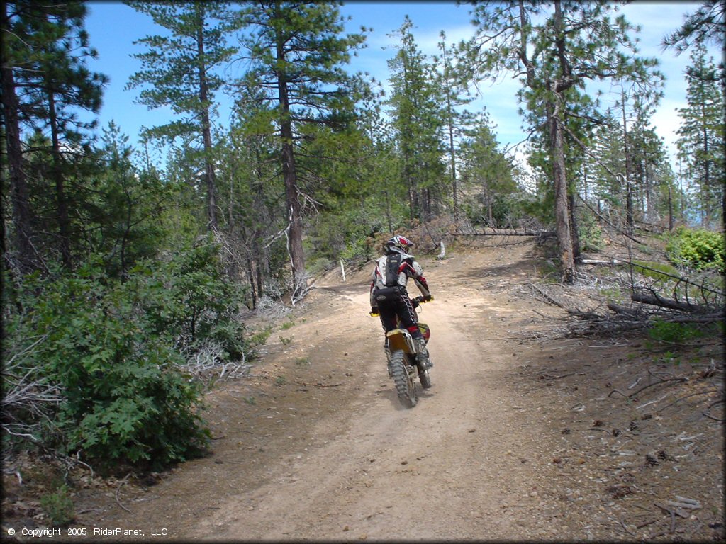 OHV at Chappie-Shasta OHV Area Trail