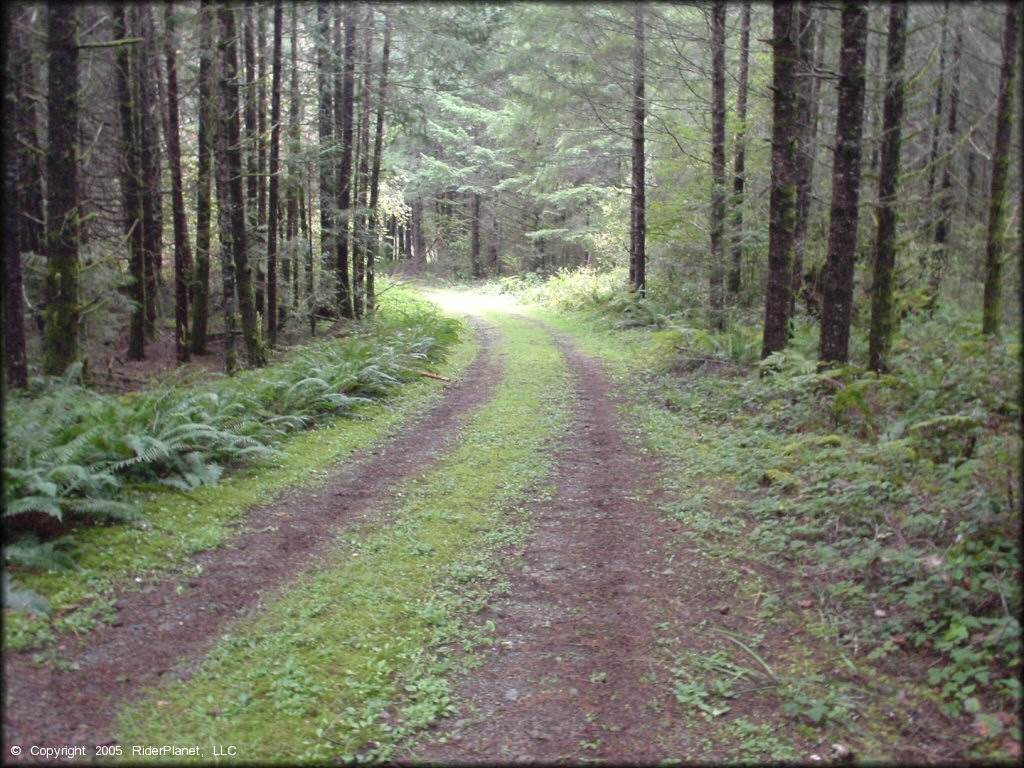 Example of terrain at South Valley Resource Area Trail