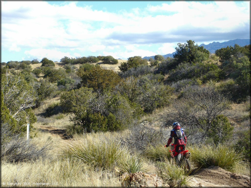 Honda CRF Motorcycle at Redington Pass Trail