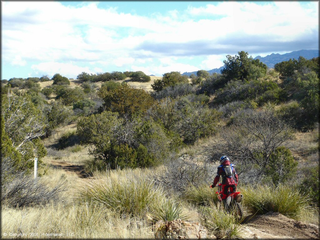 Honda CRF Dirt Bike at Redington Pass Trail