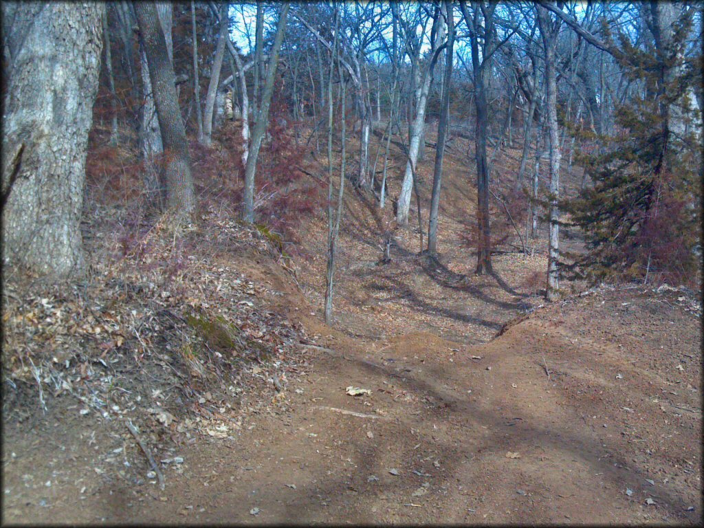 A trail at Spillway Cycle Area Trail