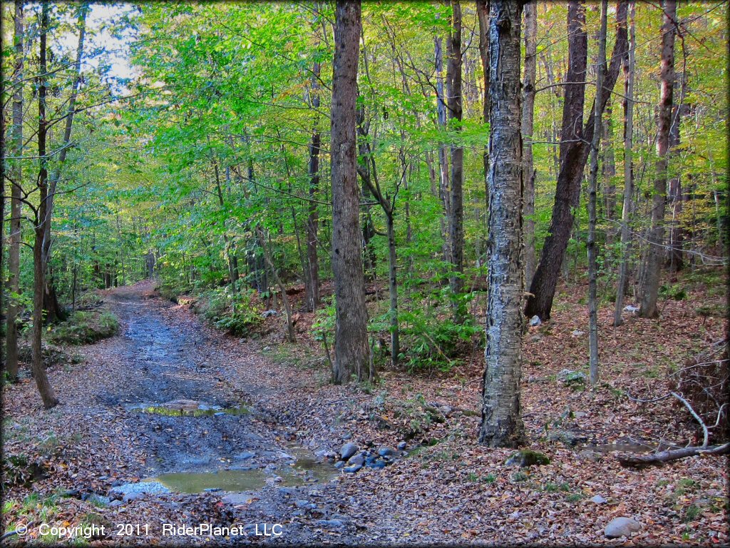 Terrain example at Pittsfield State Forest Trail