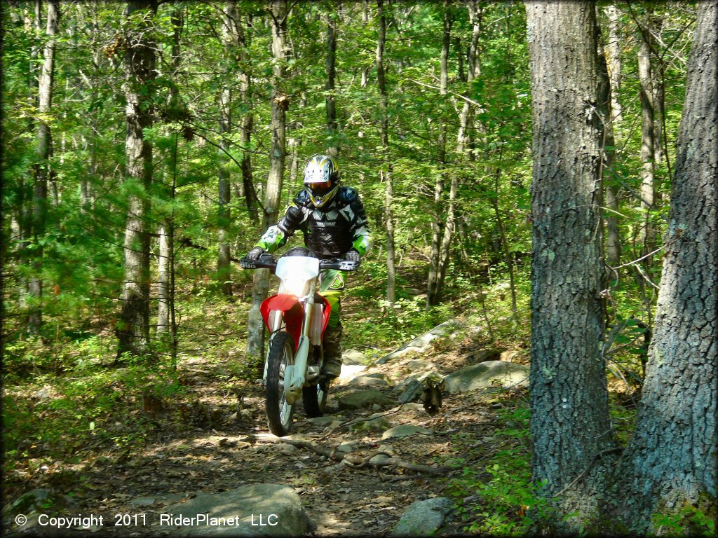 Wrentham Trails