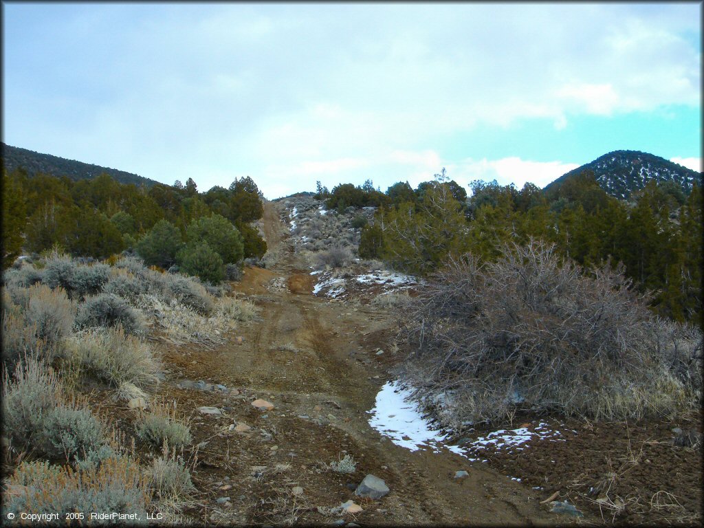 Example of terrain at Old Sheep Ranch Trail