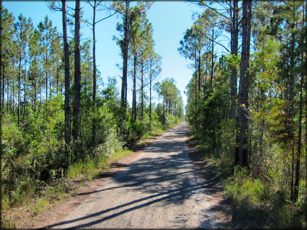 Omega Ranch Trail