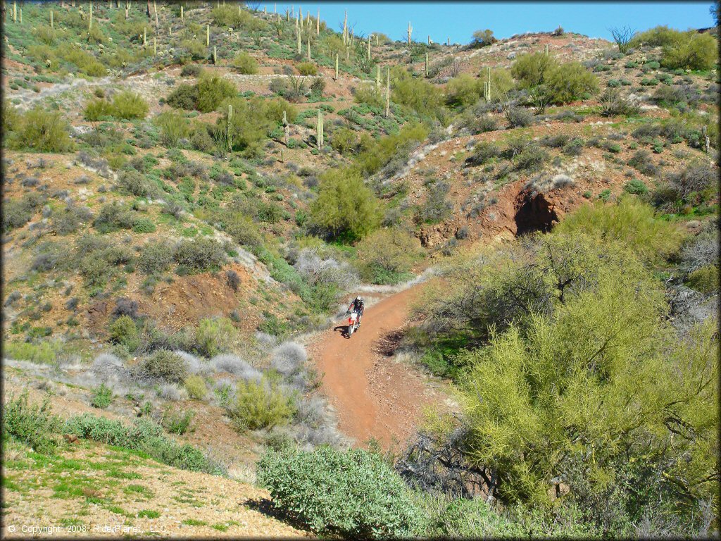 Honda CRF250 riding down old mining road.