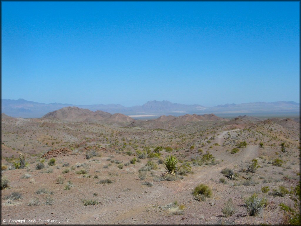 Scenery from Nelson Hills Trail