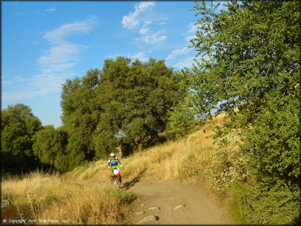 Woman on Honda CRF150F riding down ATV trail.