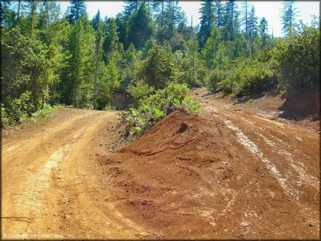 A trail at Rattlesnake Ridge Area Trail