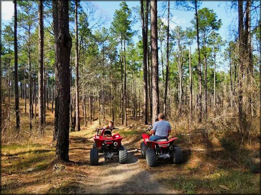 Two Honda four wheelers parked alongside each other on the trail.