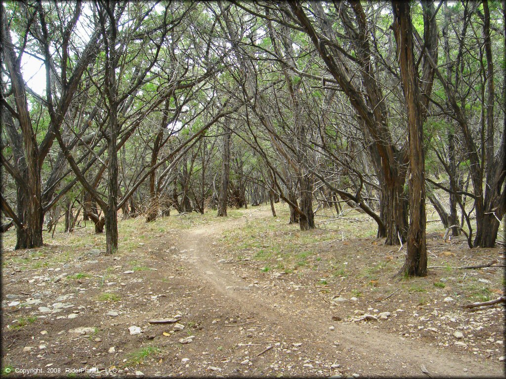 Example of terrain at Emma Long Metropolitan Park Trail