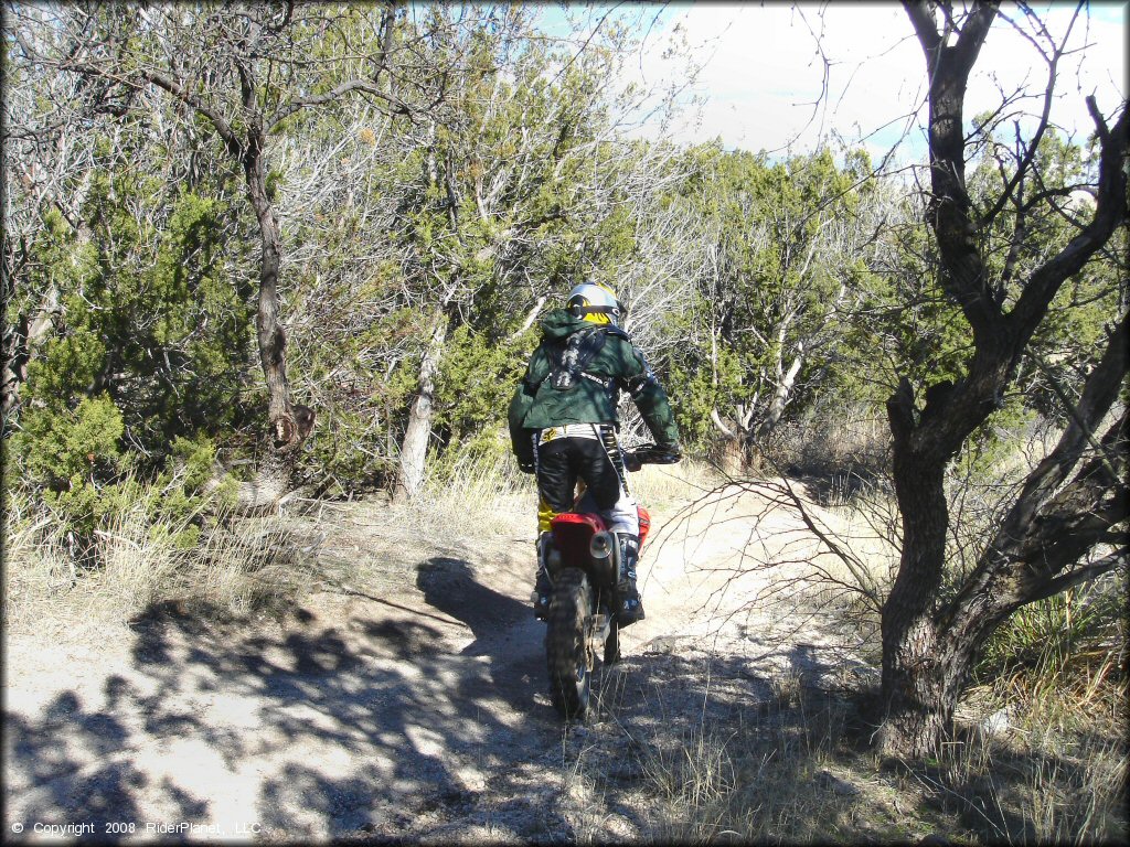 Honda CRF Dirtbike at Redington Pass Trail