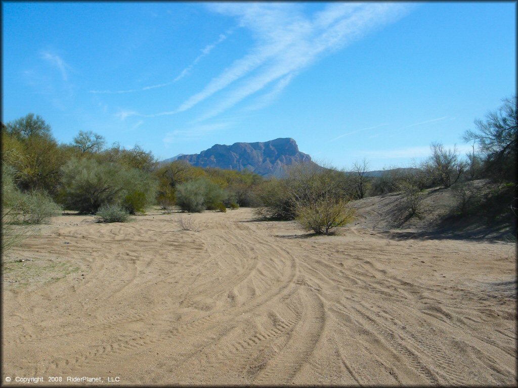 Sandy wash with scattered creosote mesquite bushes.