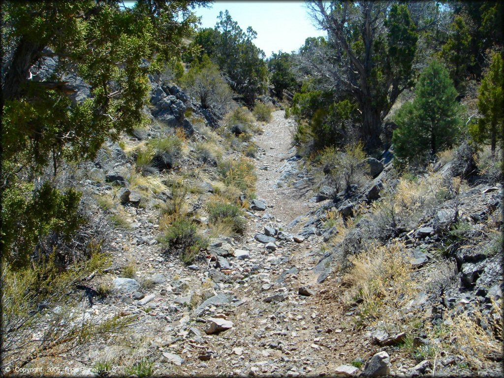 Chief Mountain OHV Area Trail
