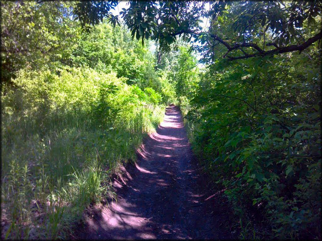 A trail at Spillway Cycle Area Trail
