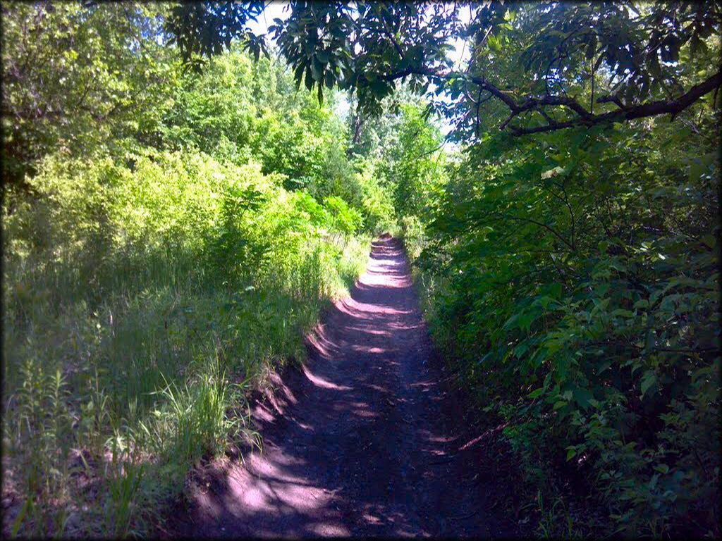 Some terrain at Spillway Cycle Area Trail