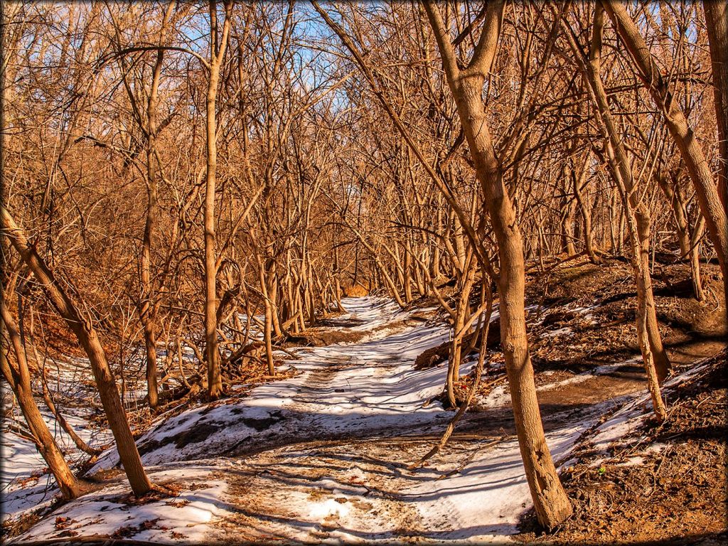 River Valley OHV Park Trail