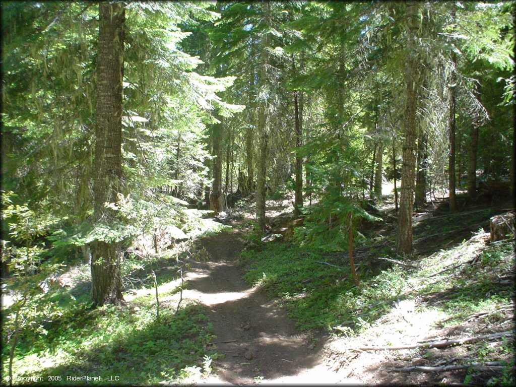 Terrain example at Prospect OHV Trail System