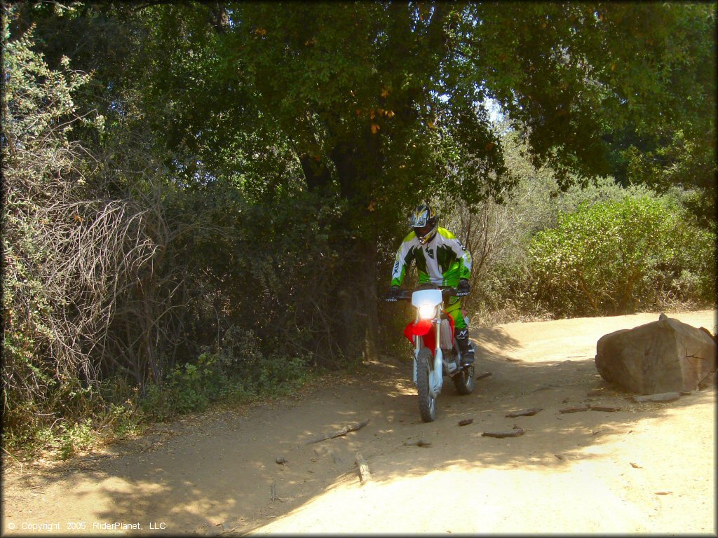 Man on Honda CRF250X dirt bike wearing green and white Thor riding gear and Alpinestar motorcycle boots.
