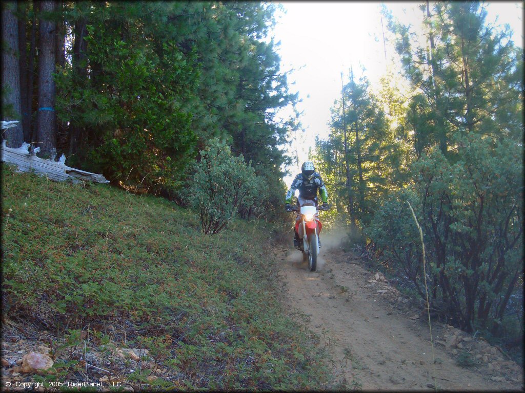 Honda CRF Dirt Bike at Interface Recreation Trails