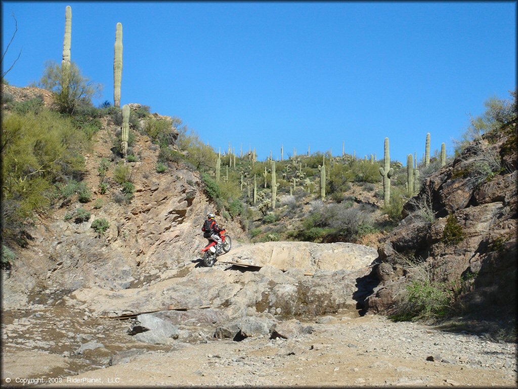 Honda dirt bike going up short rocky ledge.