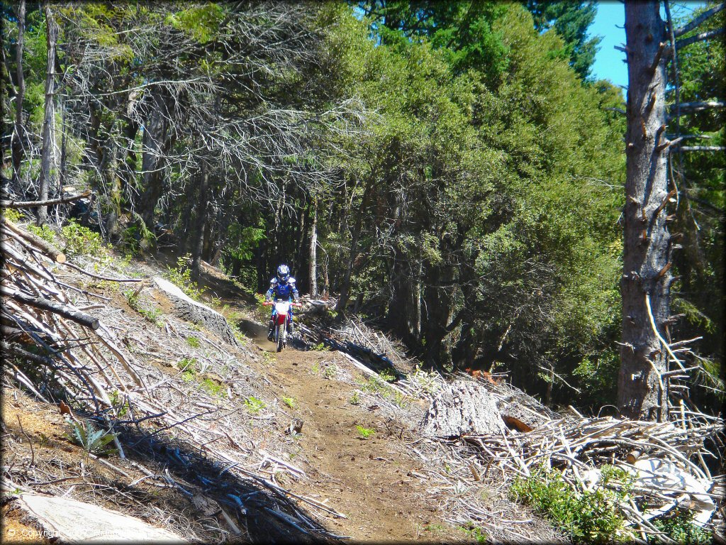 Girl riding a Honda CRF Motorcycle at High Dome Trail