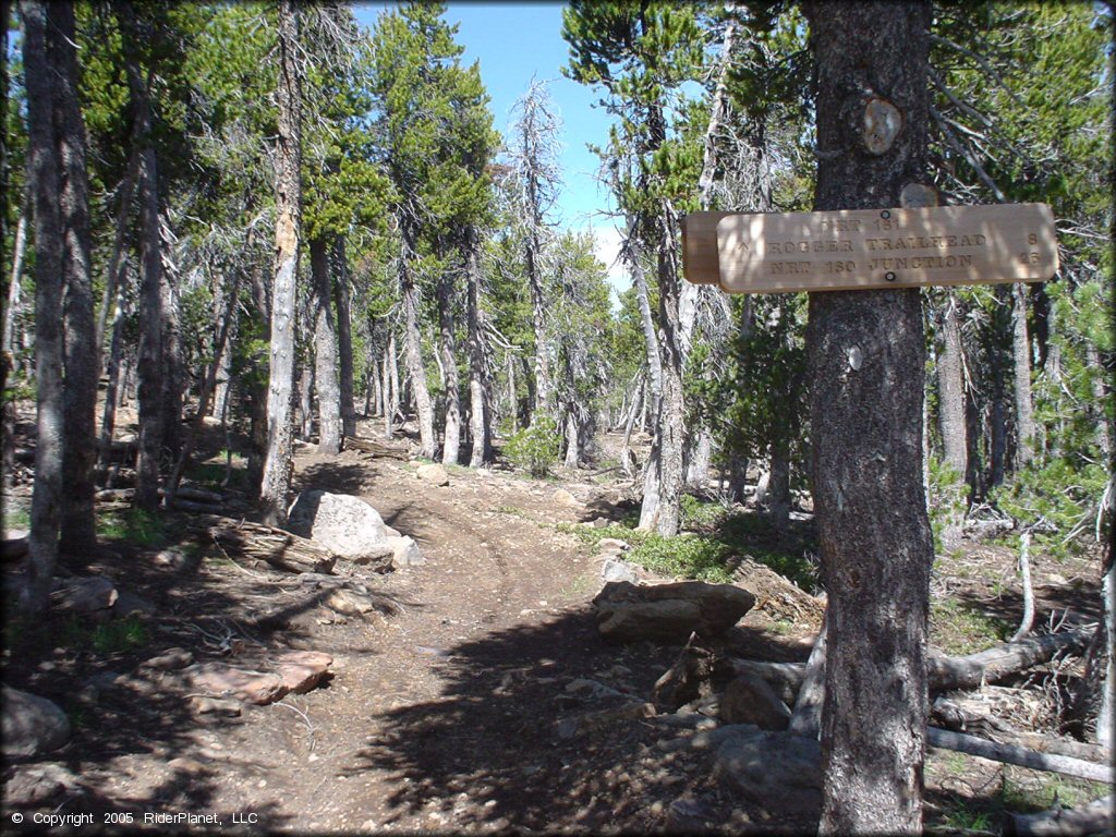 Example of terrain at Crane Mountain OHV Trail