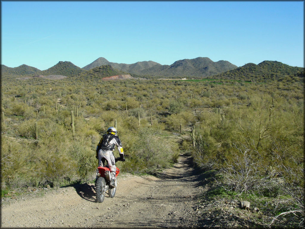 Rider on Honda dirt bike riding on wide and hard packed ATV trail surrounded by desert vegetation.