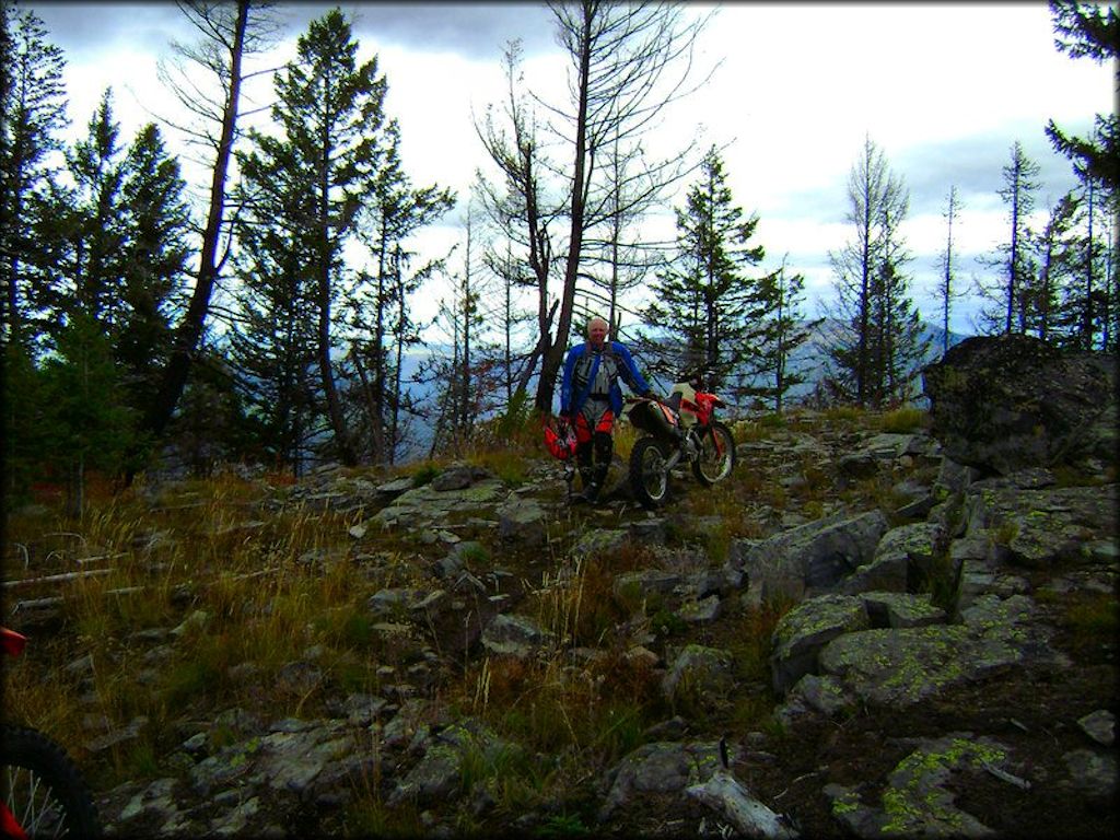 Sylvia Lake Trail