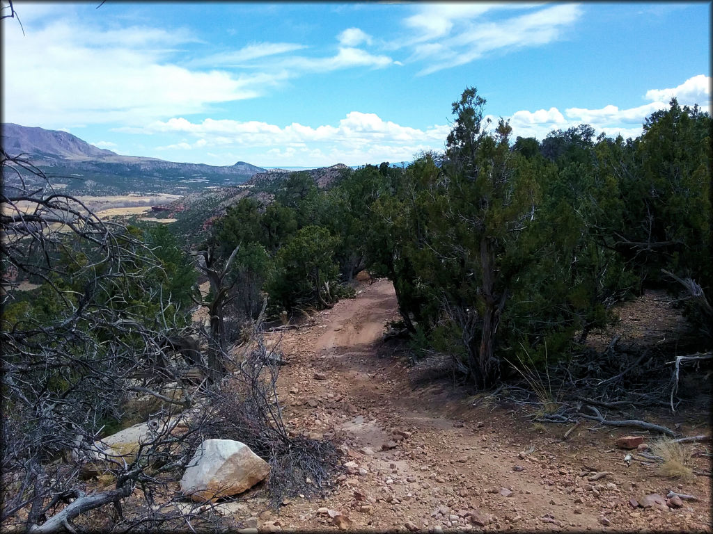 Seep Springs Trail