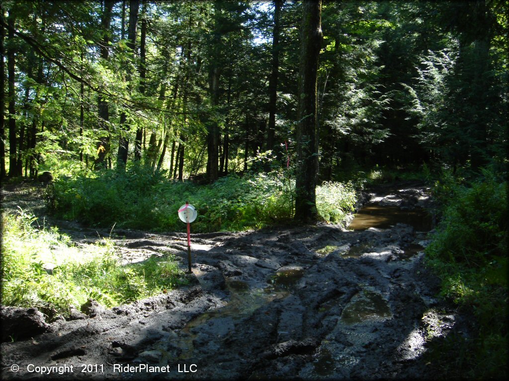 Terrain example at Camden ATV Trail